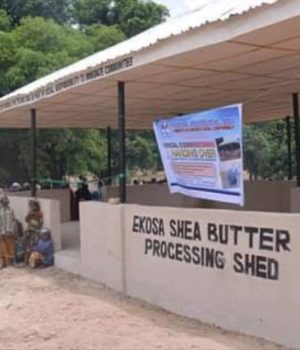 WhatsApp Image 2026-03-12 at 5.20.14 AM (2)