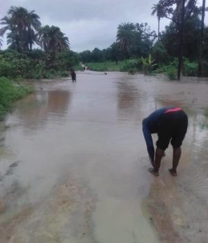 WhatsApp Image 2026-03-12 at 5.20.27 AM